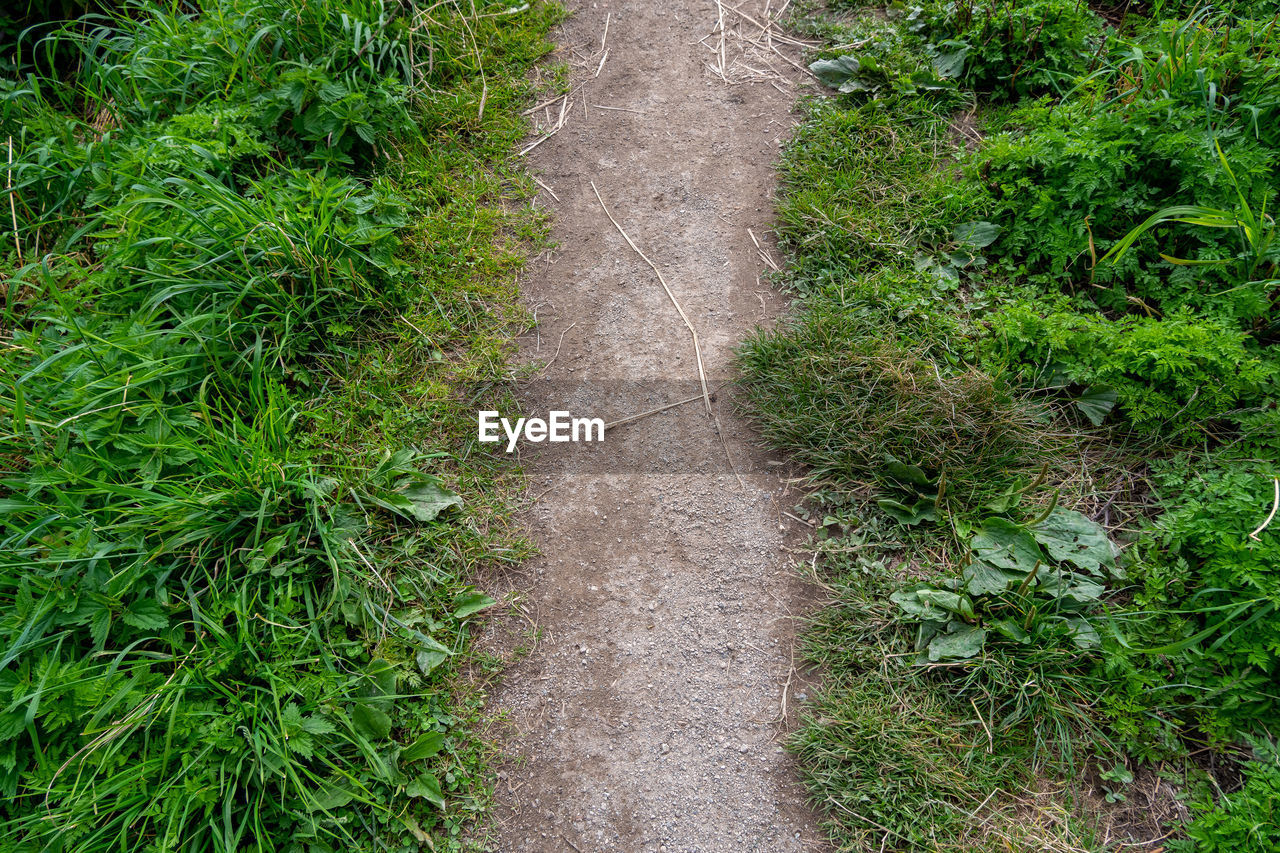 HIGH ANGLE VIEW OF TRAIL ON FOOTPATH AMIDST FIELD
