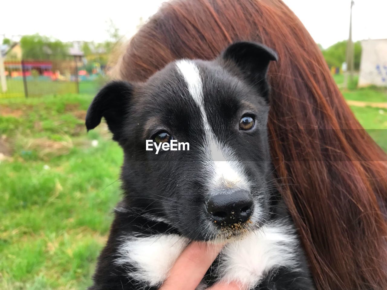 Close-up portrait of dog with woman 