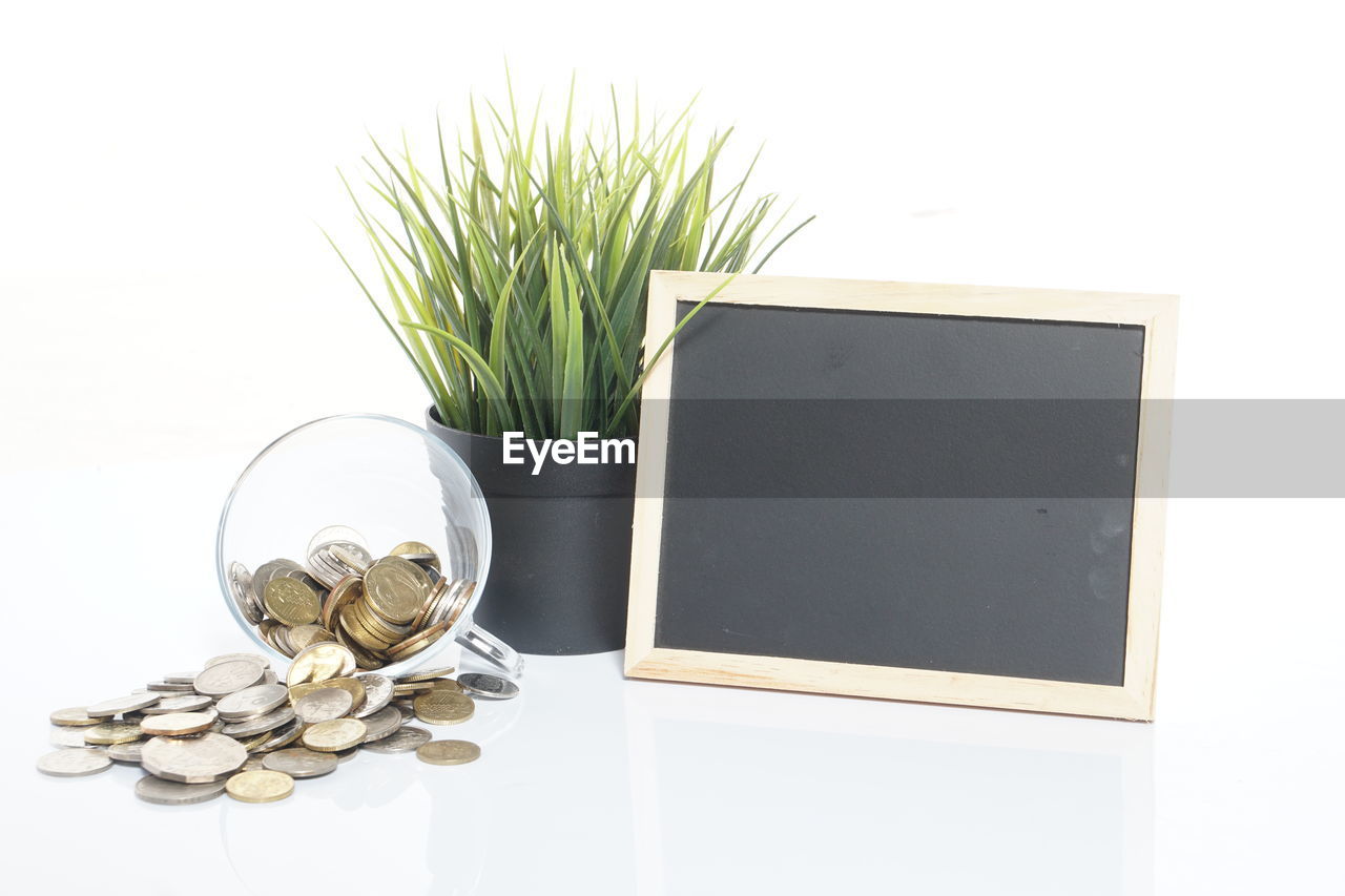 Coins with houseplant and writing slate against white background