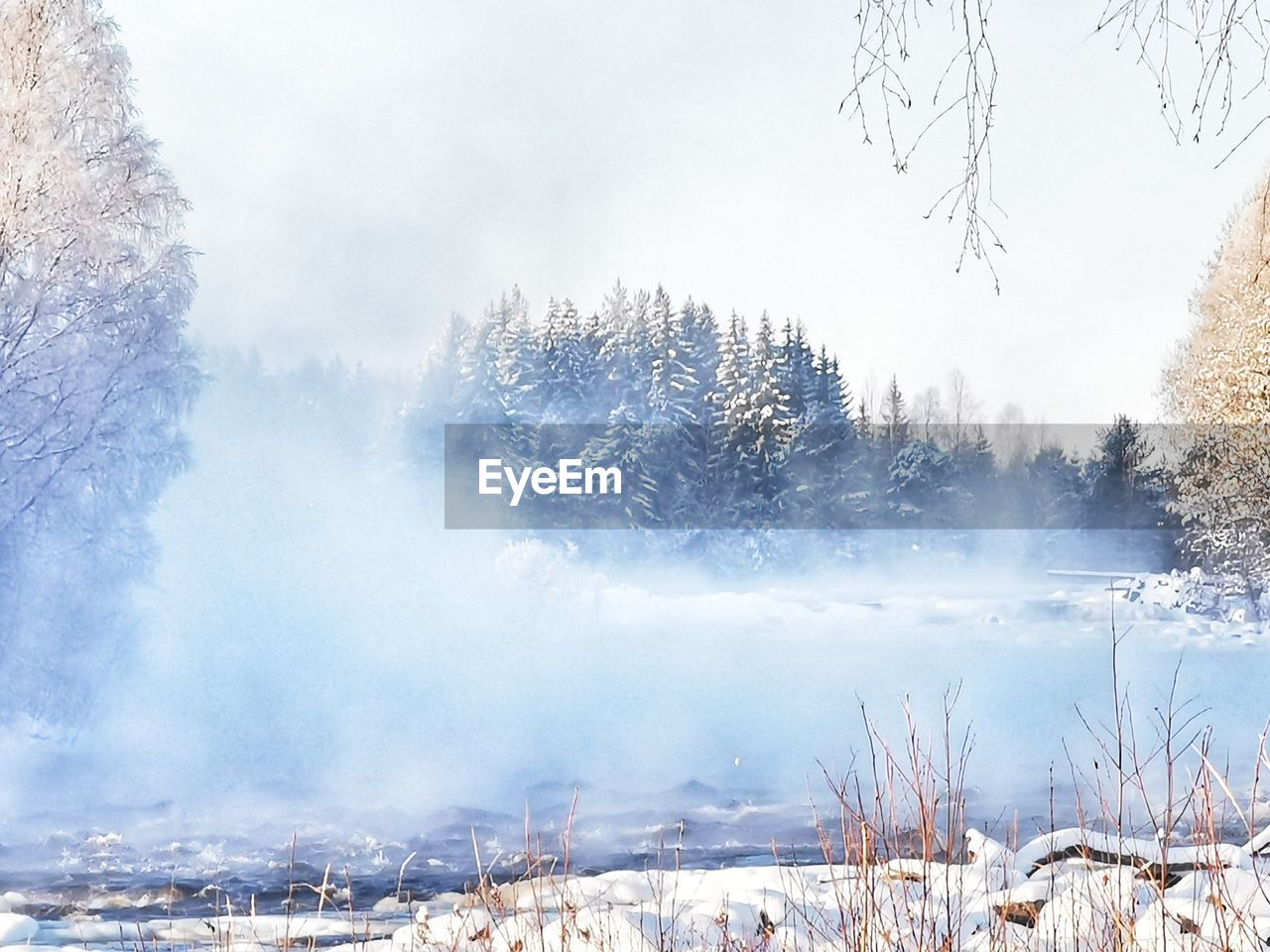 winter, cold temperature, snow, tree, environment, beauty in nature, plant, fog, landscape, nature, scenics - nature, forest, frost, land, mountain, freezing, tranquility, tranquil scene, non-urban scene, pinaceae, coniferous tree, frozen, pine tree, no people, sky, pine woodland, morning, day, woodland, outdoors, white, travel, ice, travel destinations, water, idyllic, mist, cloud, sunlight