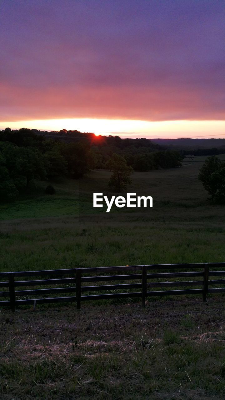 SUNSET OVER GRASSY FIELD