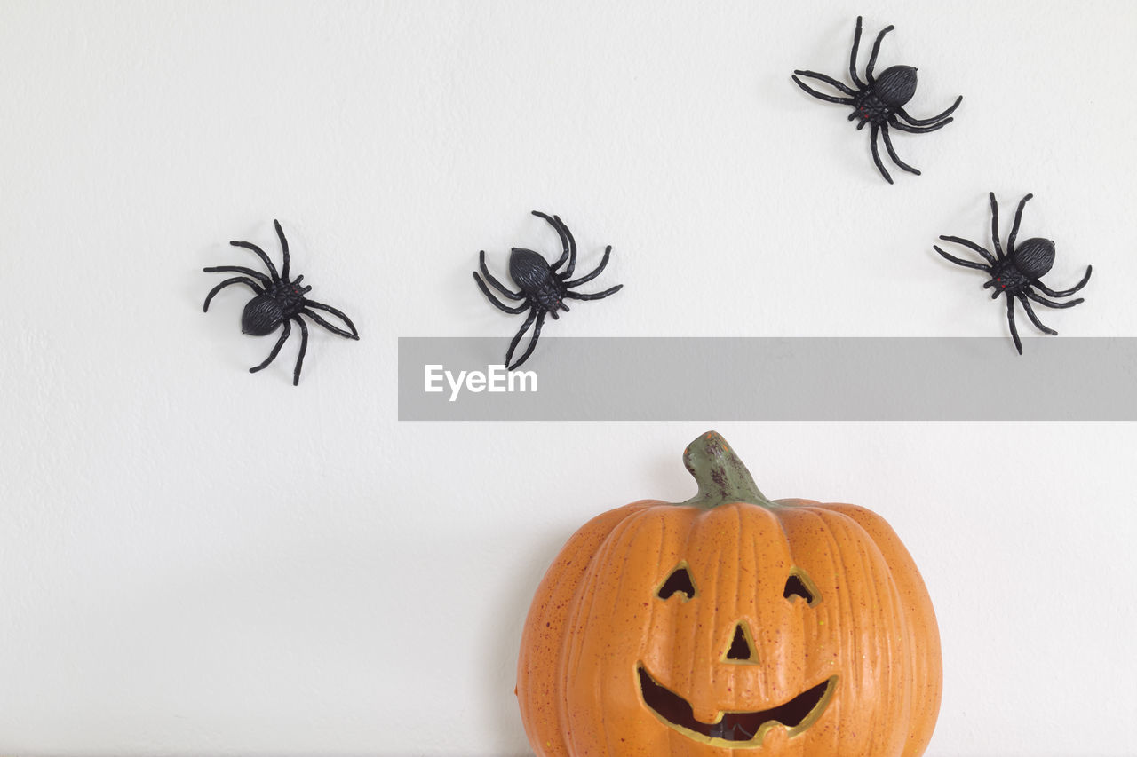 Jack o lantern against artificial spiders on wall