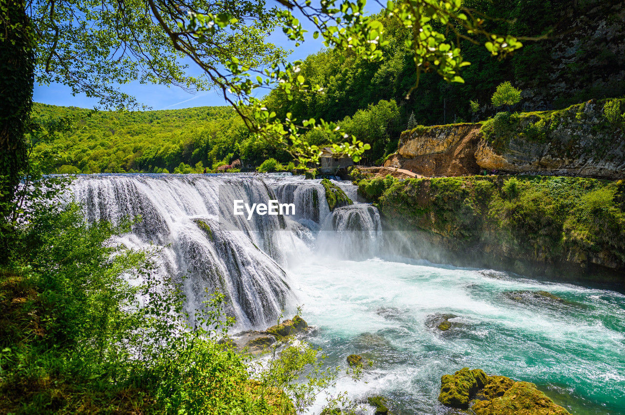 view of waterfall in forest