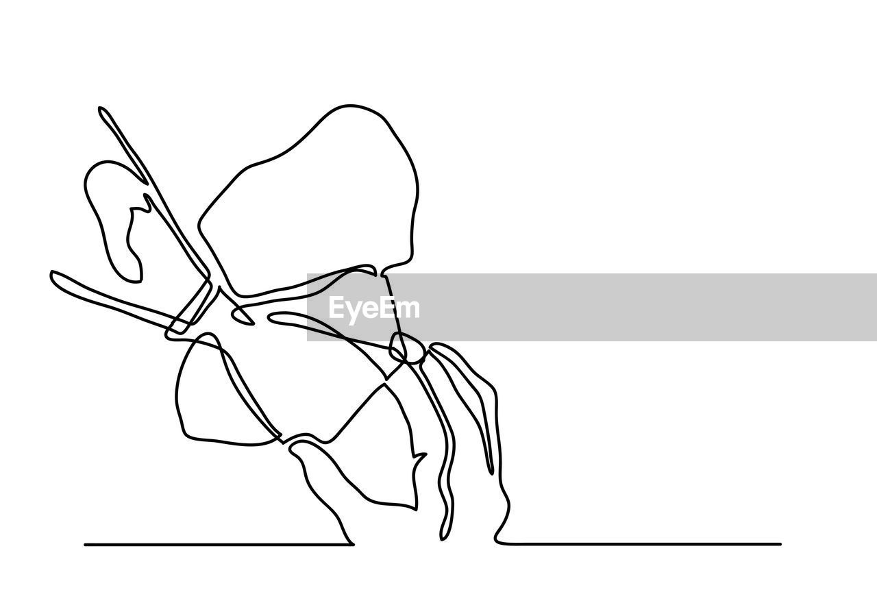 One continuous line drawing medical face mask. concept of coron