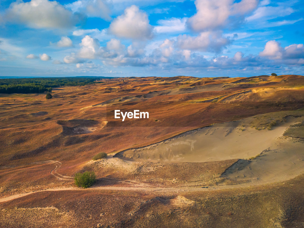 SCENIC VIEW OF LANDSCAPE