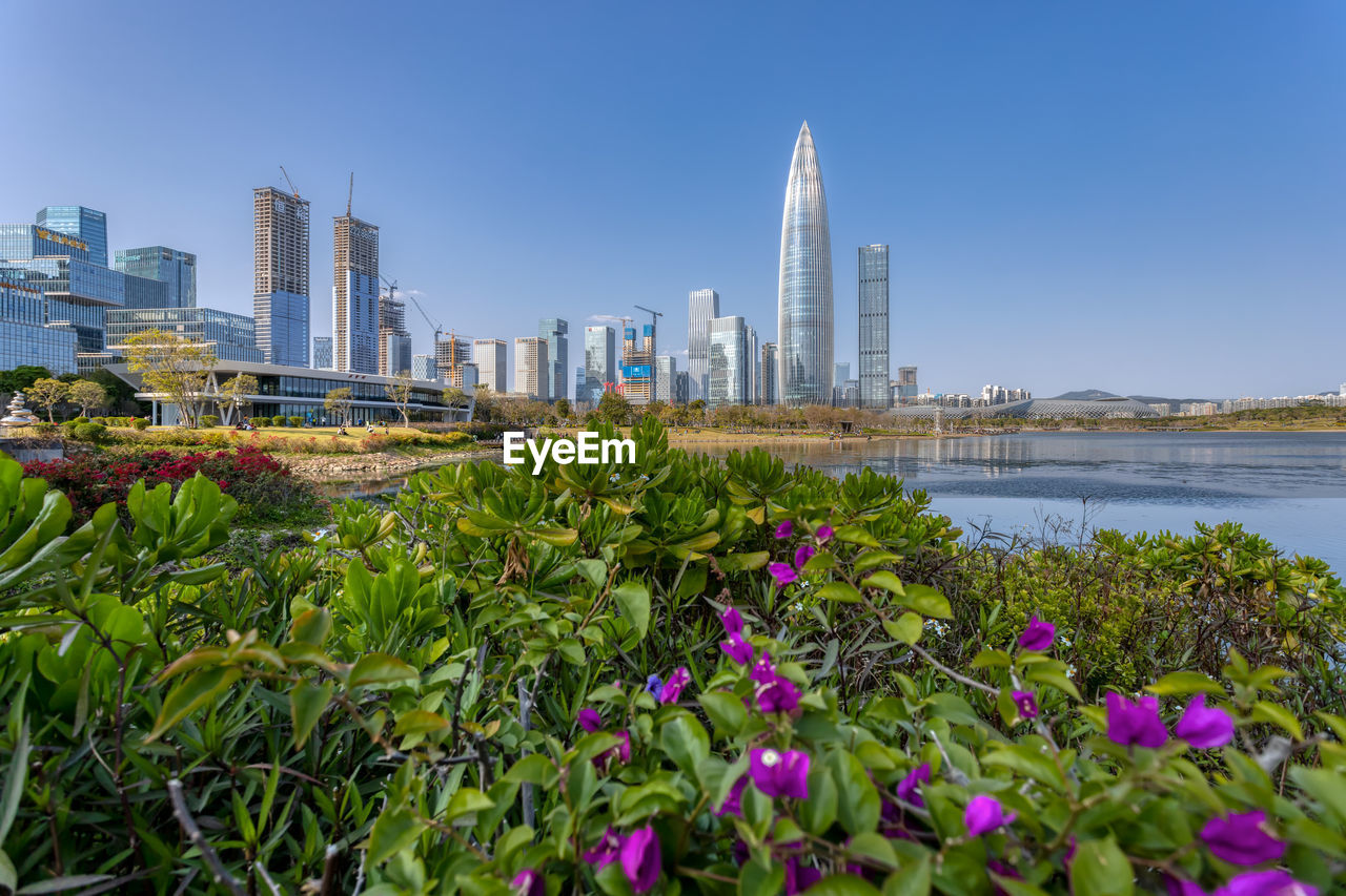 FLOWERING PLANTS AND BUILDINGS AGAINST SKY