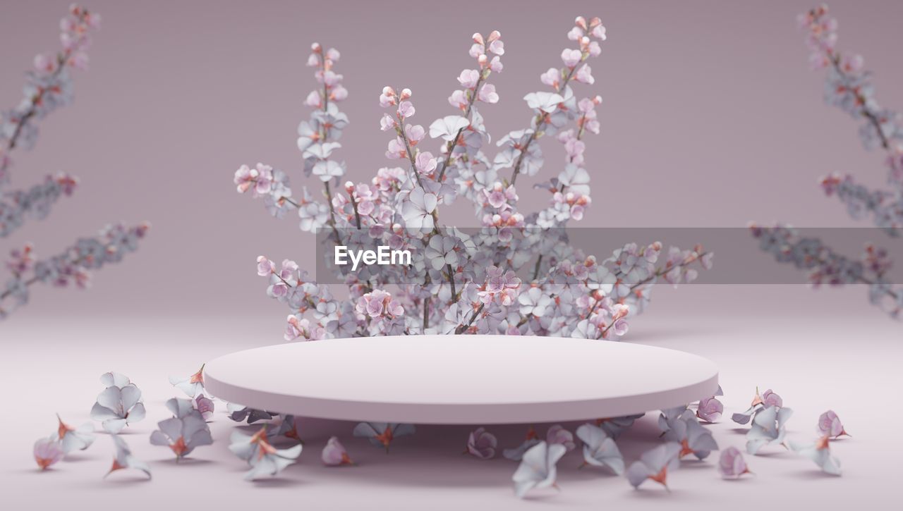 plant, flower, pink, flowering plant, studio shot, tree, nature, no people, blossom, indoors, beauty in nature, gray, colored background, freshness, fragility, still life
