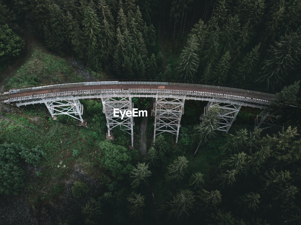 Aerial view of bridge amidst trees in forest