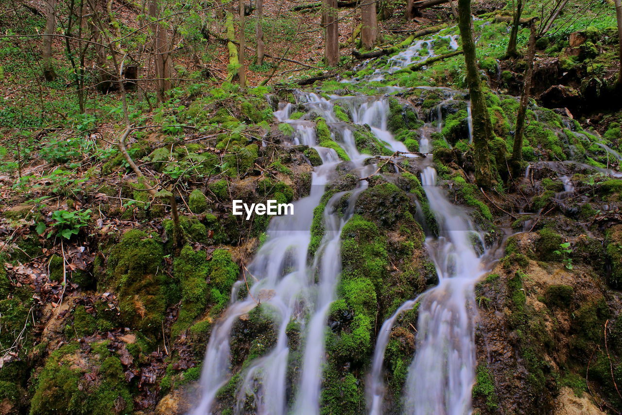 waterfall, beauty in nature, scenics - nature, plant, forest, water, land, tree, nature, motion, flowing water, long exposure, environment, natural environment, no people, stream, body of water, non-urban scene, blurred motion, water feature, woodland, growth, rock, tranquility, flowing, outdoors, day, autumn, watercourse, rainforest, idyllic, tranquil scene, landscape, green, travel destinations, moss, splashing, falling, lush foliage, foliage, tourism, power in nature, wilderness