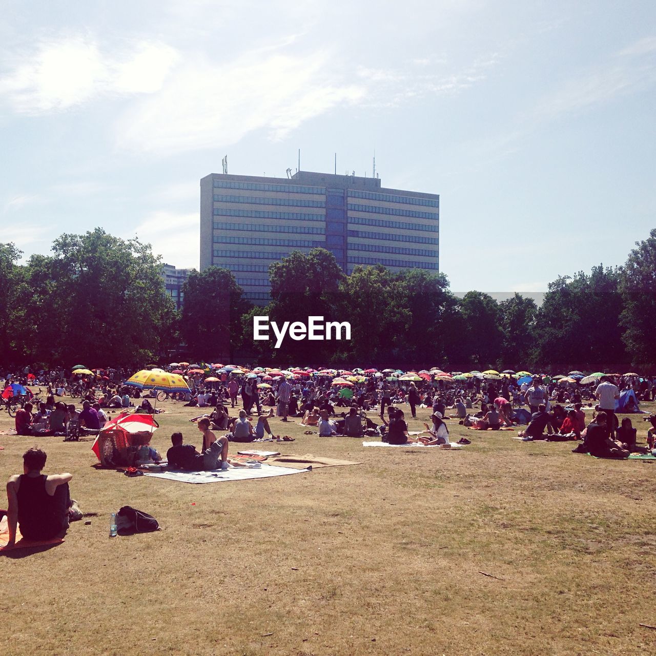 View of tourists in park