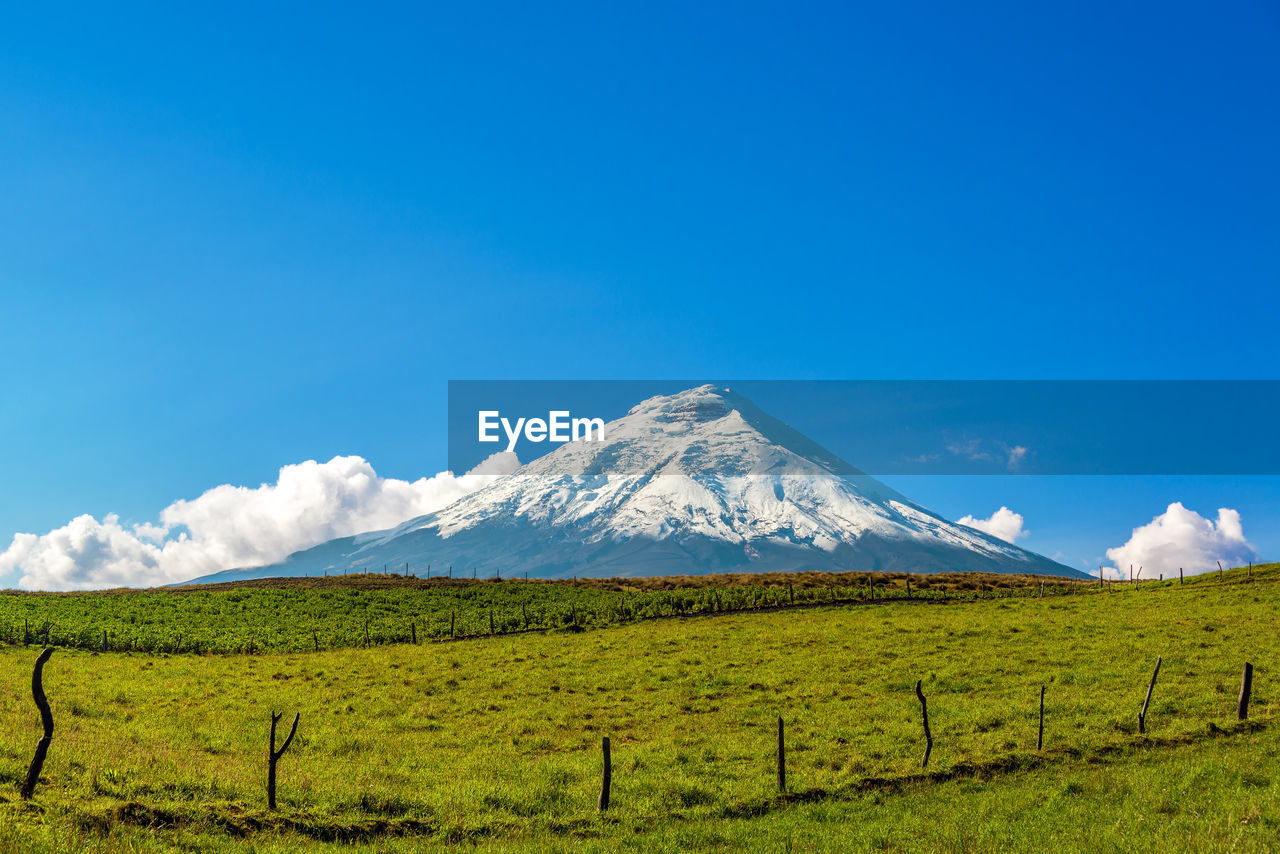 Scenic view of snowcapped mountain by green field against blue sky