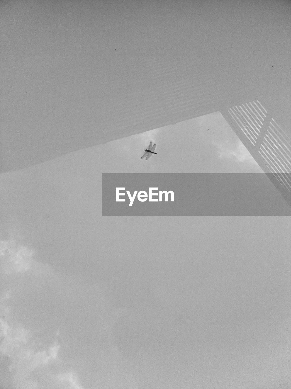 LOW ANGLE VIEW OF AIRPLANE ON ROAD AGAINST SKY