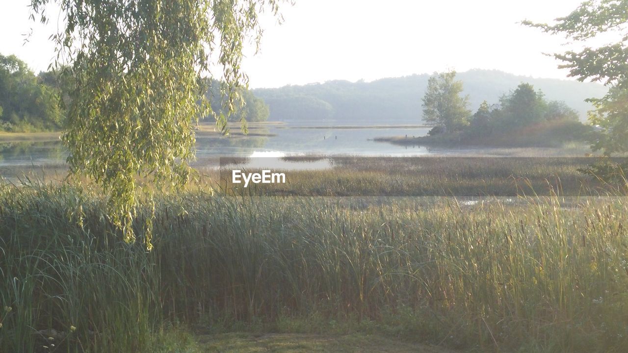 SCENIC VIEW OF LAKE