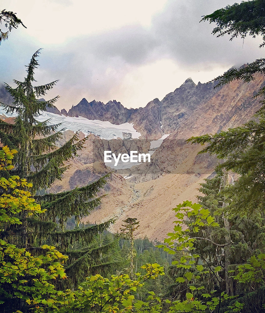 SCENIC VIEW OF LAND AND MOUNTAINS AGAINST SKY