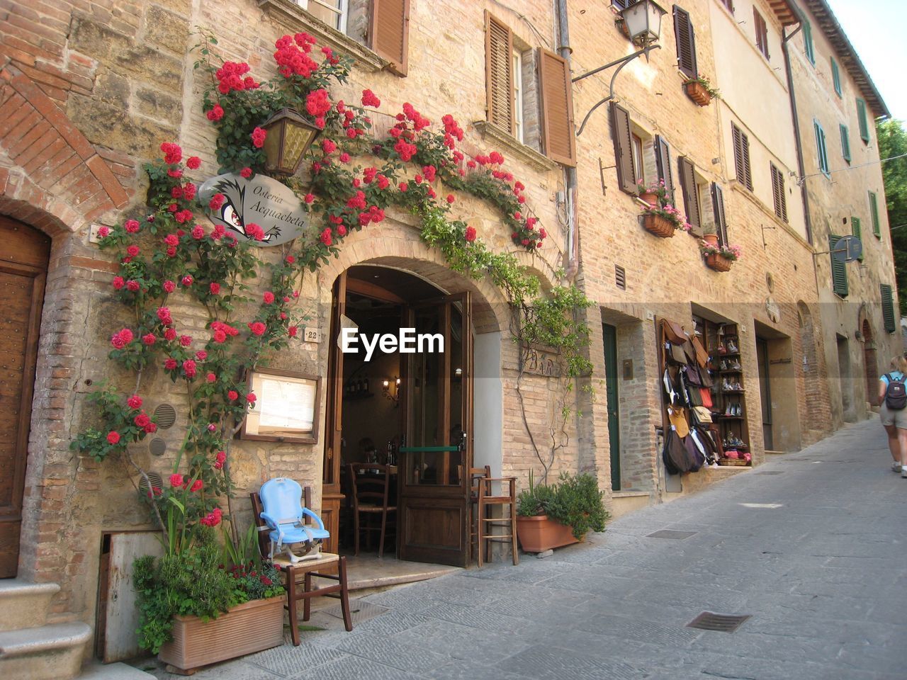 POTTED PLANTS ON ALLEY BY BUILDING