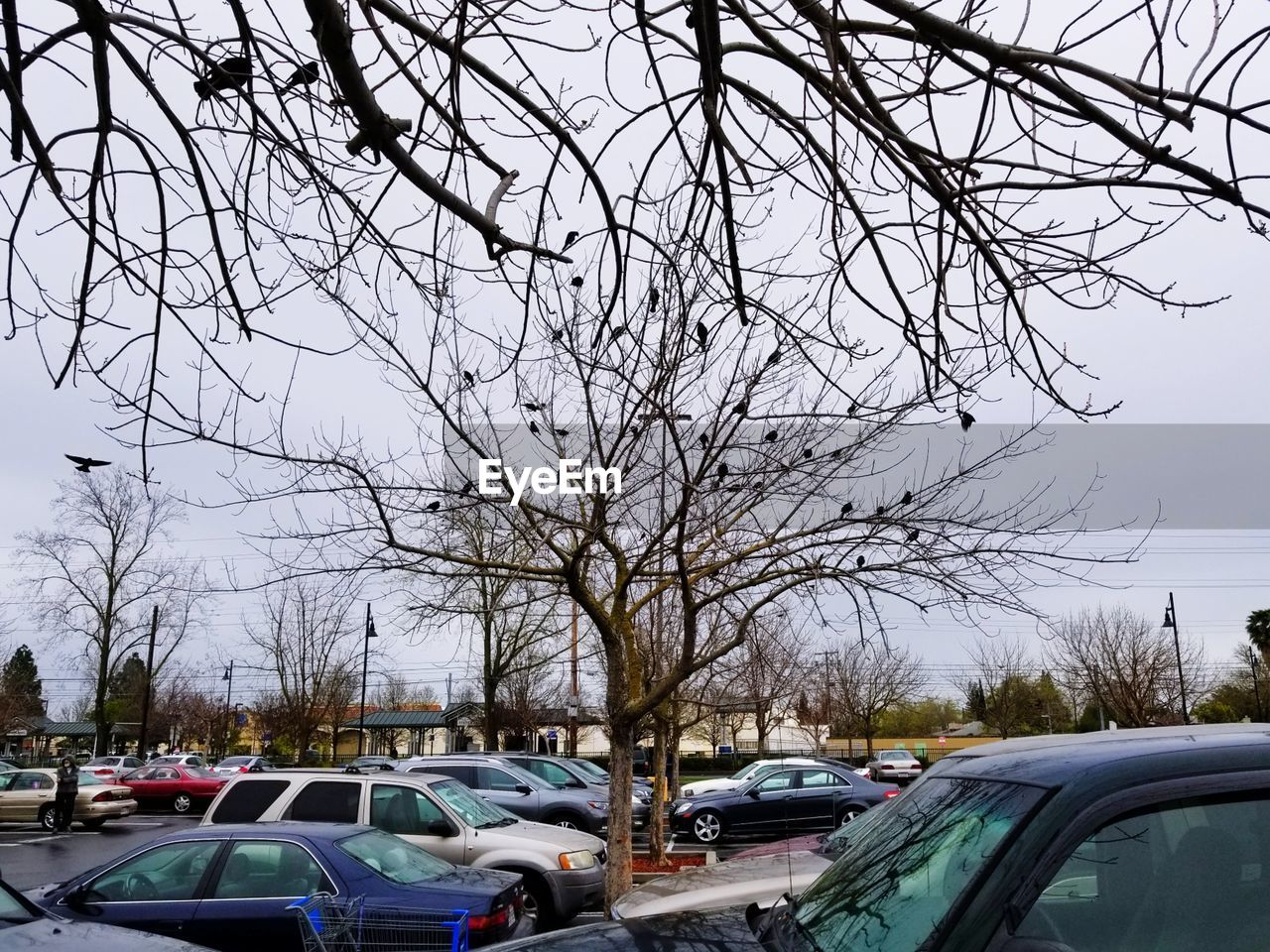 CARS ON ROAD IN CITY AGAINST SKY