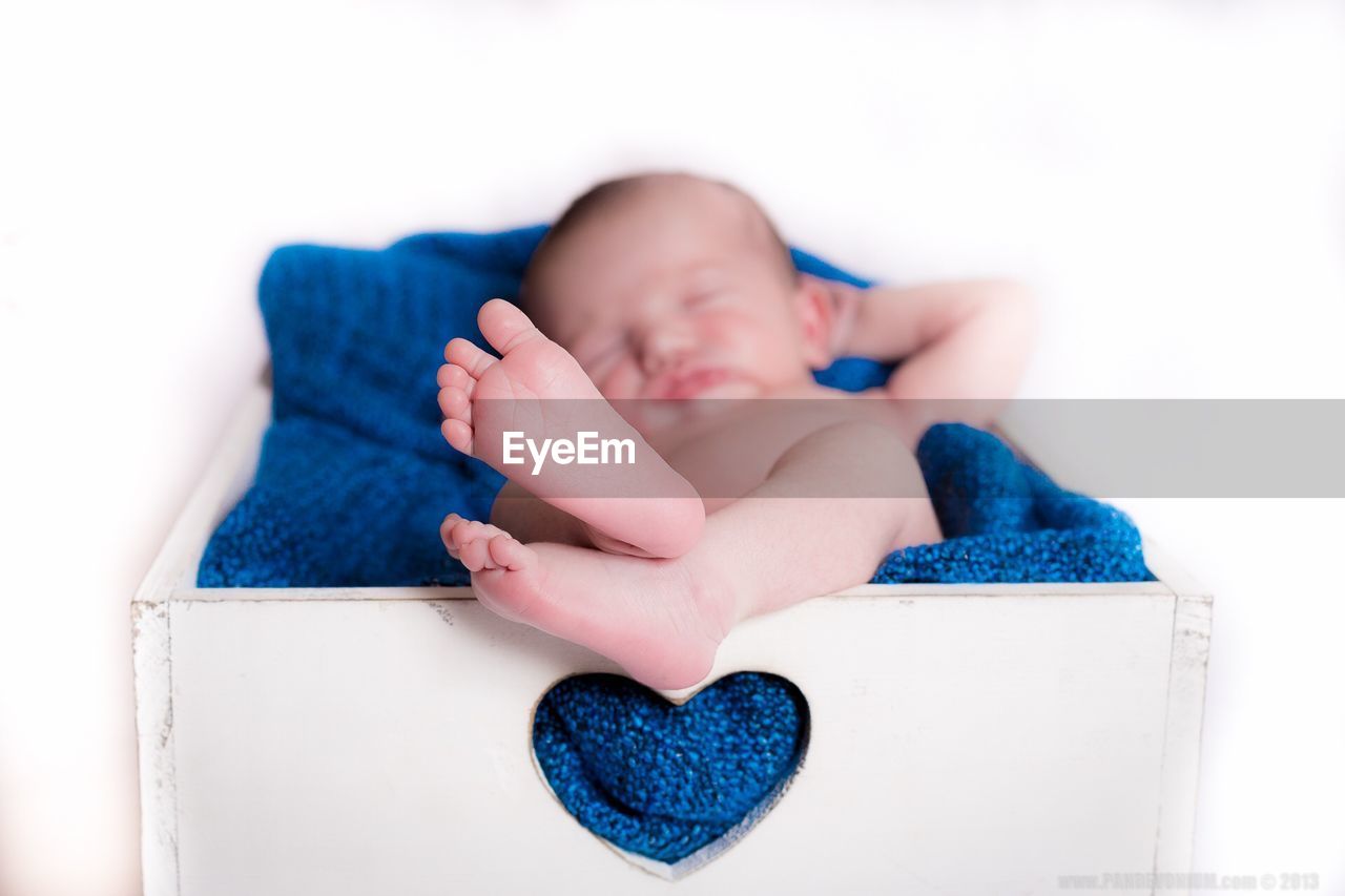 Newborn baby girl sleeping in container over white background