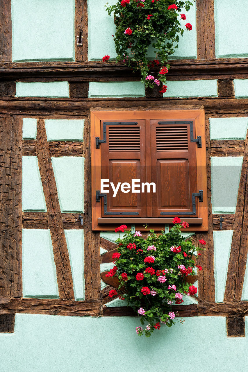 Potted plant on wooden door of building