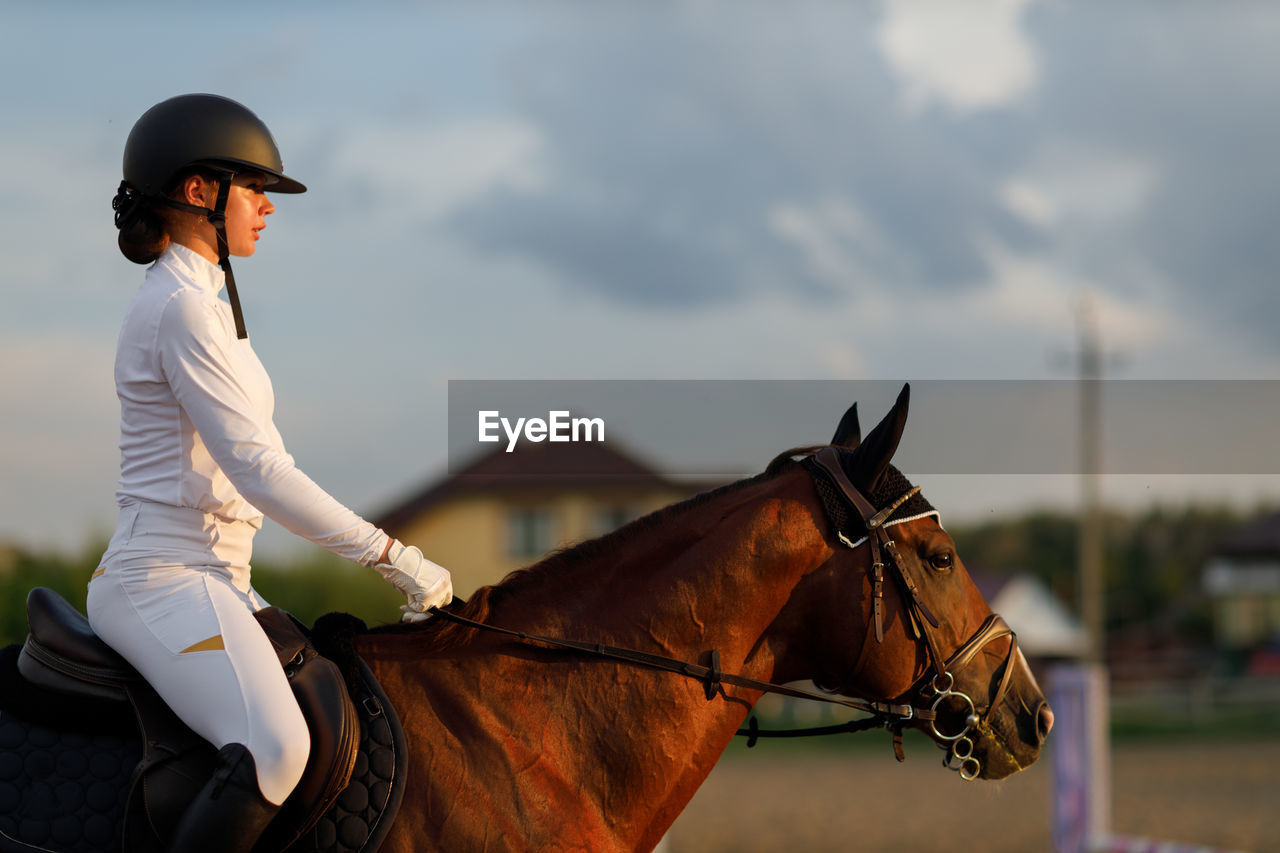 side view of man riding horse on field against sky