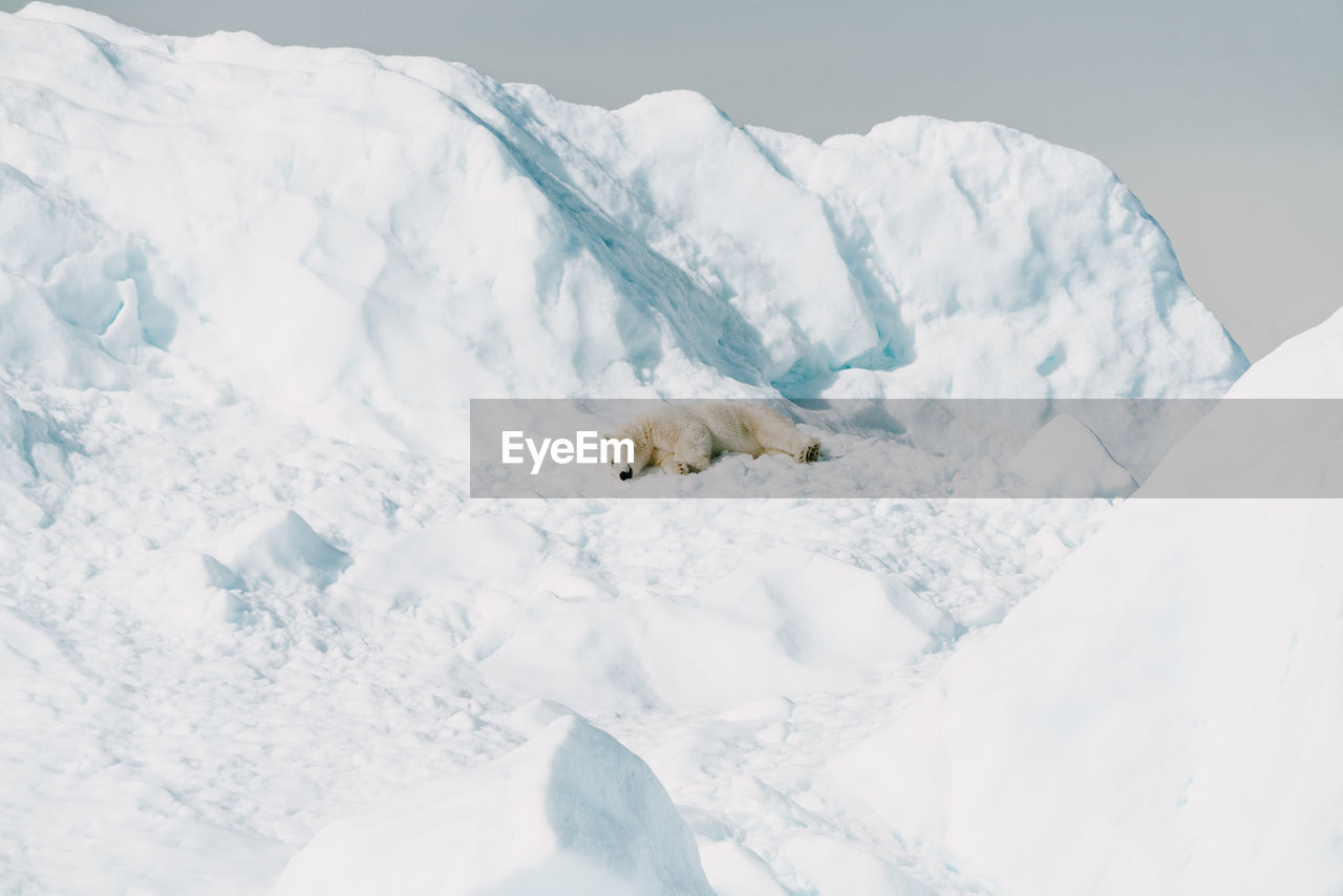 high angle view of snow covered land