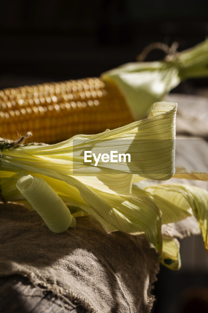 yellow, leaf, corn, food, food and drink, green, flower, vegetable, macro photography, close-up, crop, cereal plant, freshness, agriculture, no people, nature, healthy eating, plant, wellbeing, sweet corn, focus on foreground, corn kernels, plant part, organic, indoors