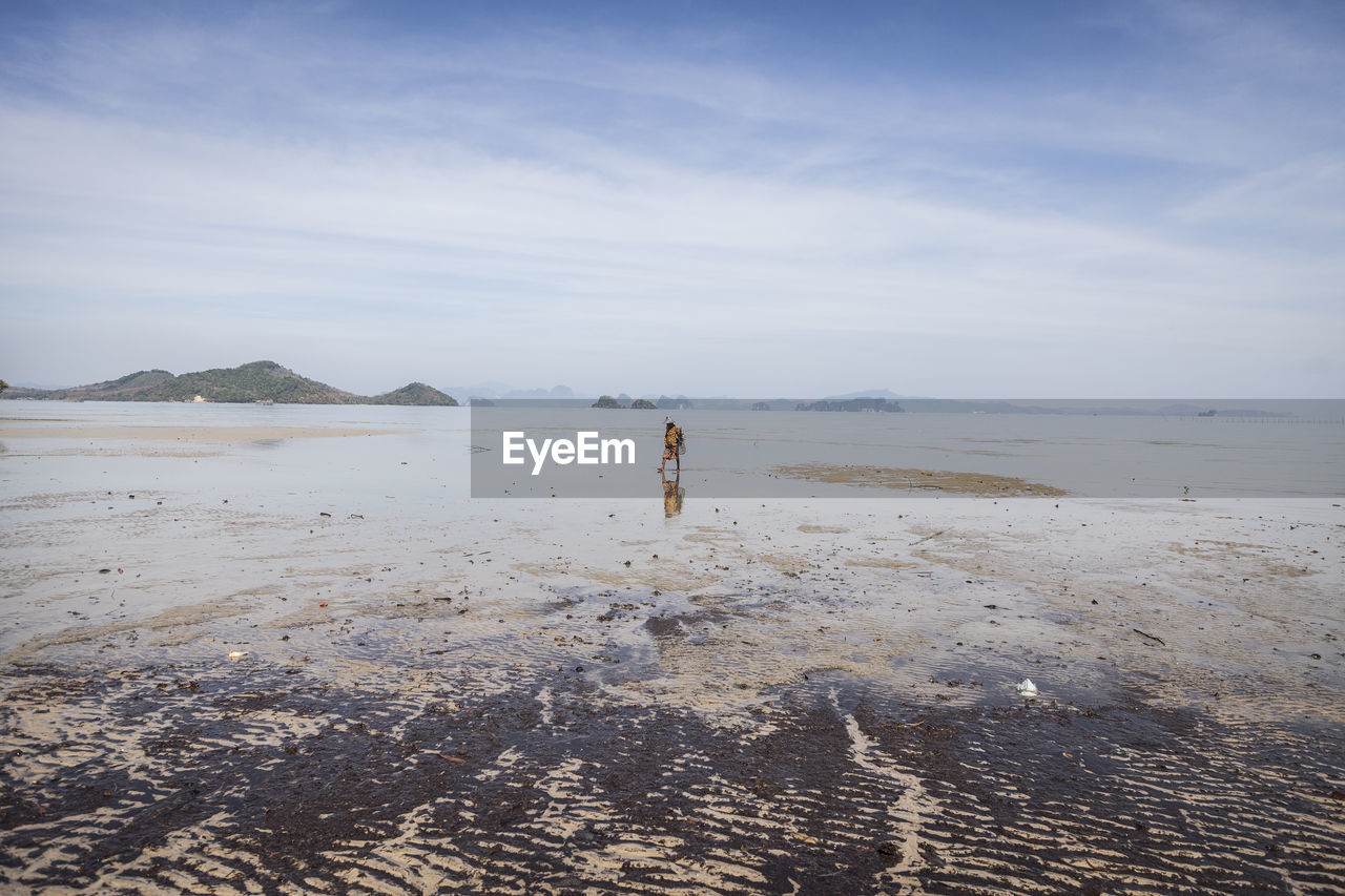 Woman collecting oysters on beach against sky