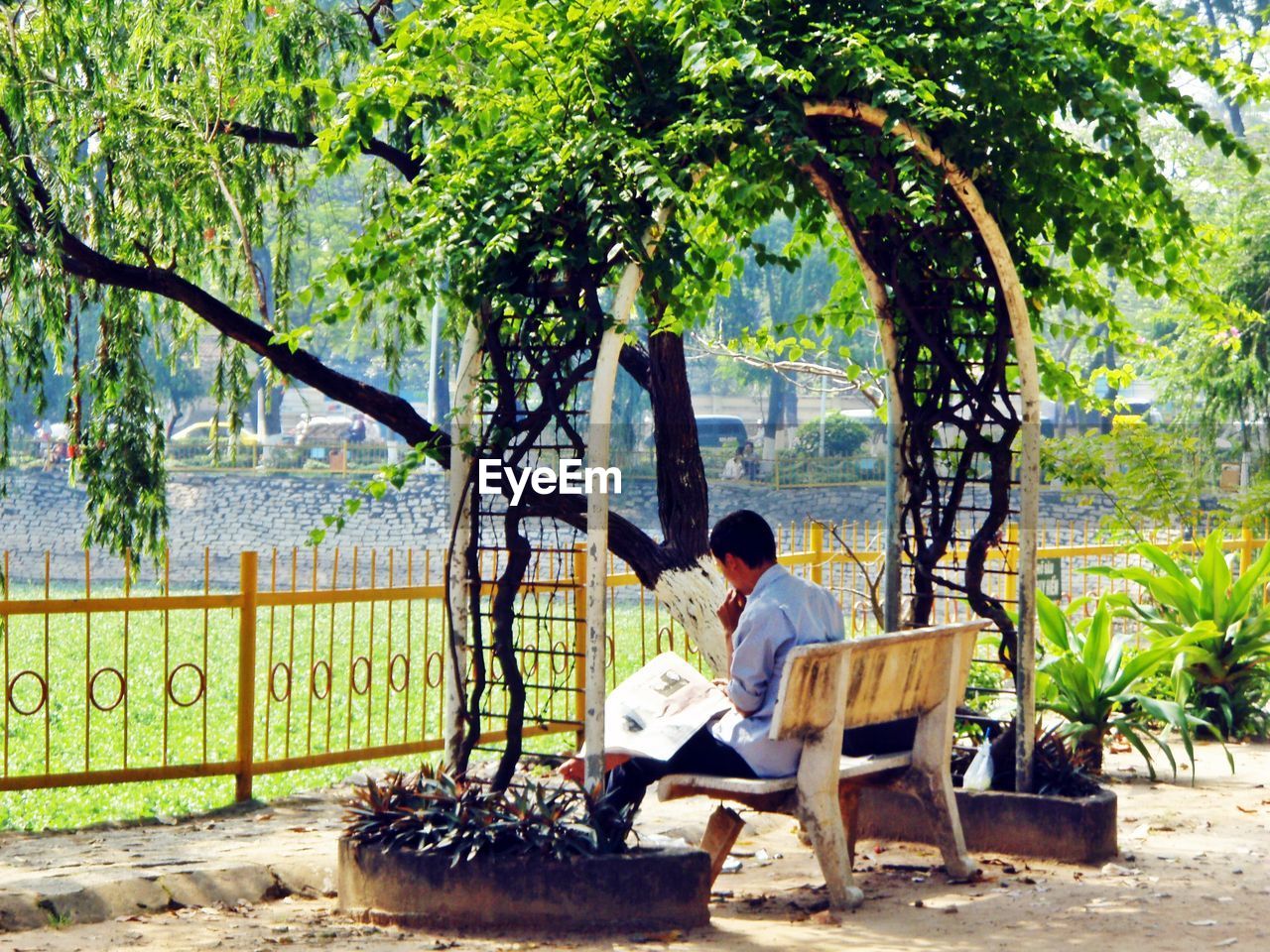 Man reading newspaper on park bench