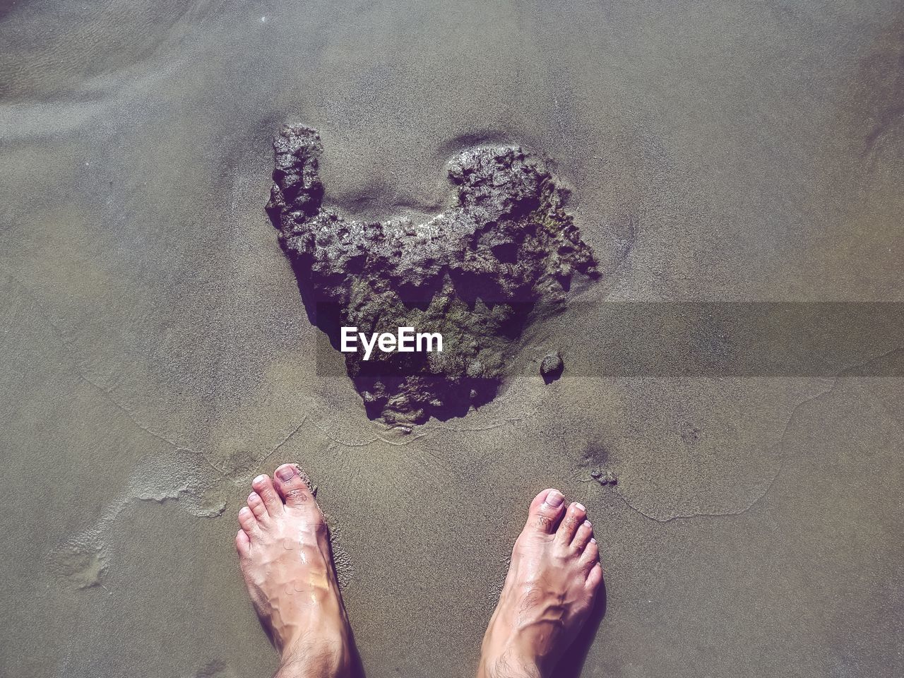 Low section of person standing on beach