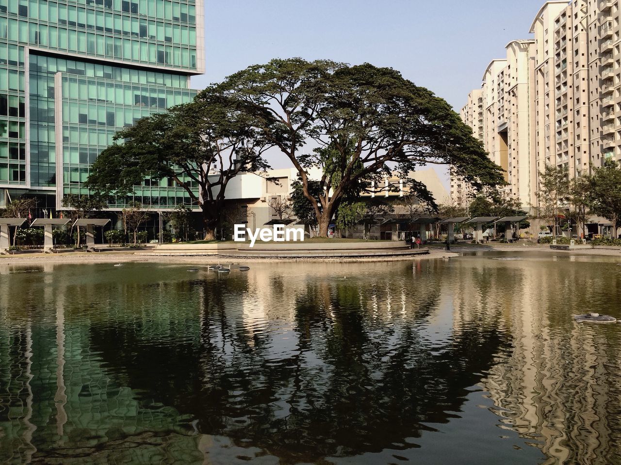 Lake by tree amidst buildings in city against clear sky