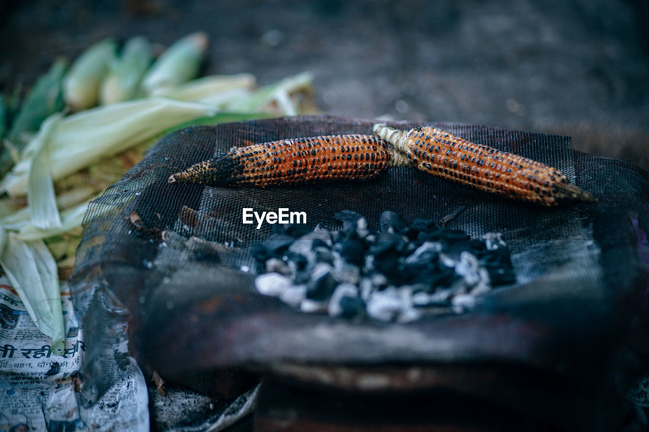 Close-up of corns on barbecue grill