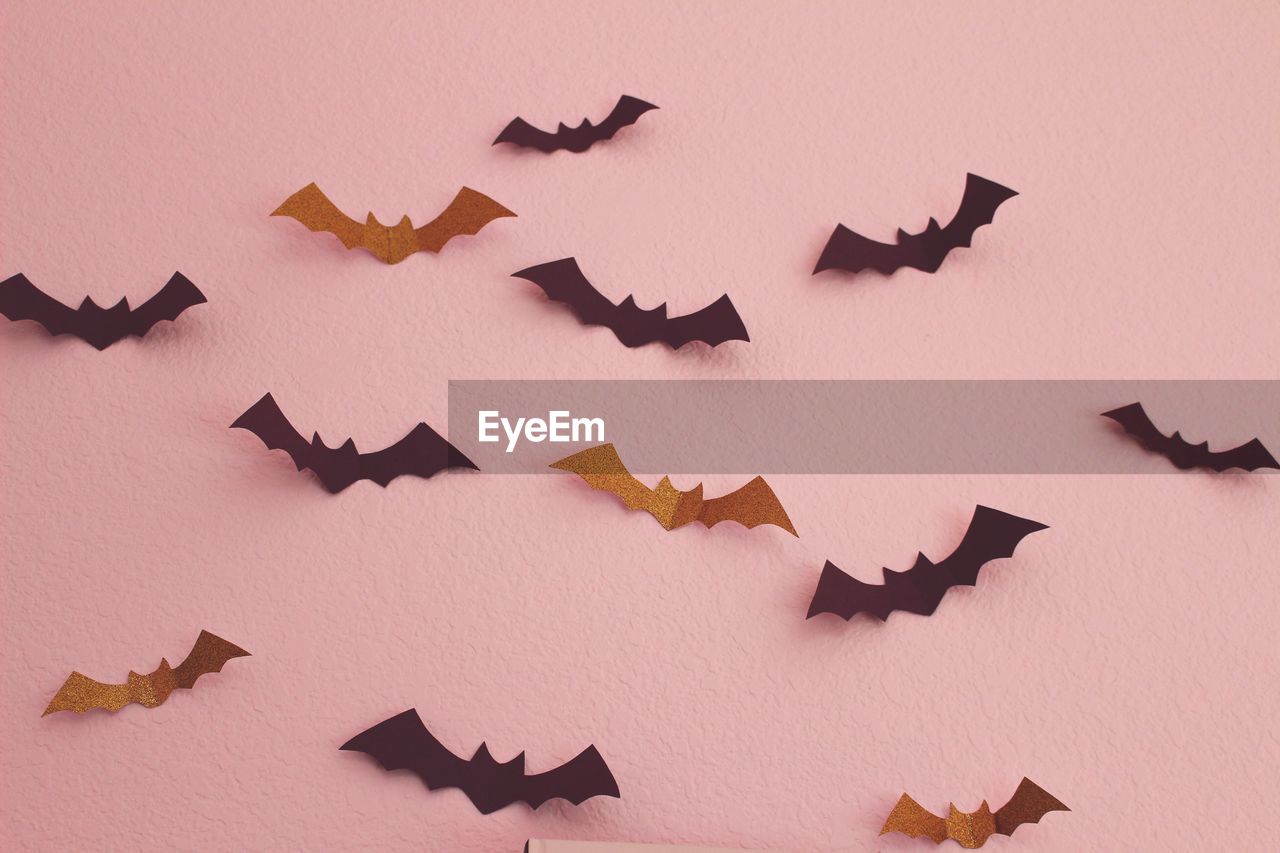 Bat decorations on wall during halloween