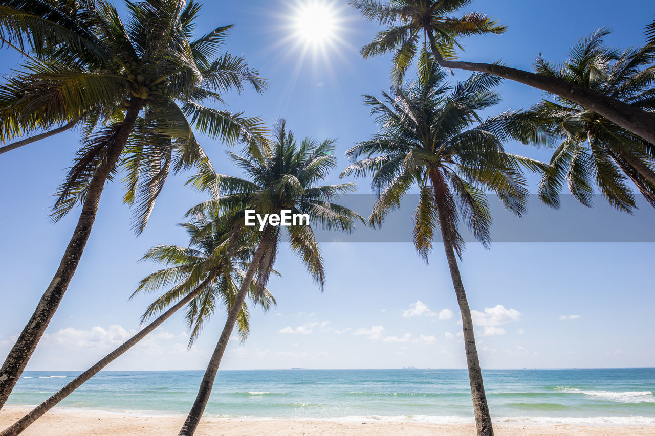 PALM TREES AT BEACH AGAINST SKY