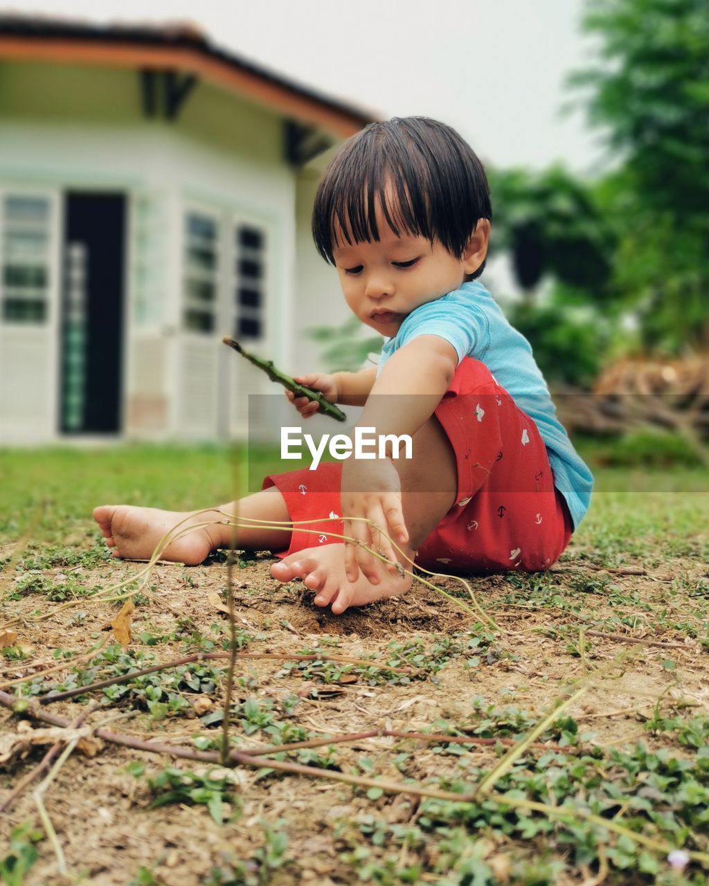 Cute boy playing on land