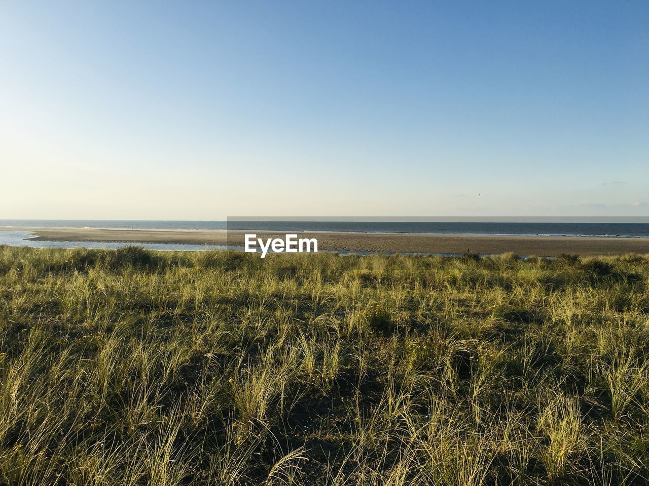 Scenic view of sea against clear sky