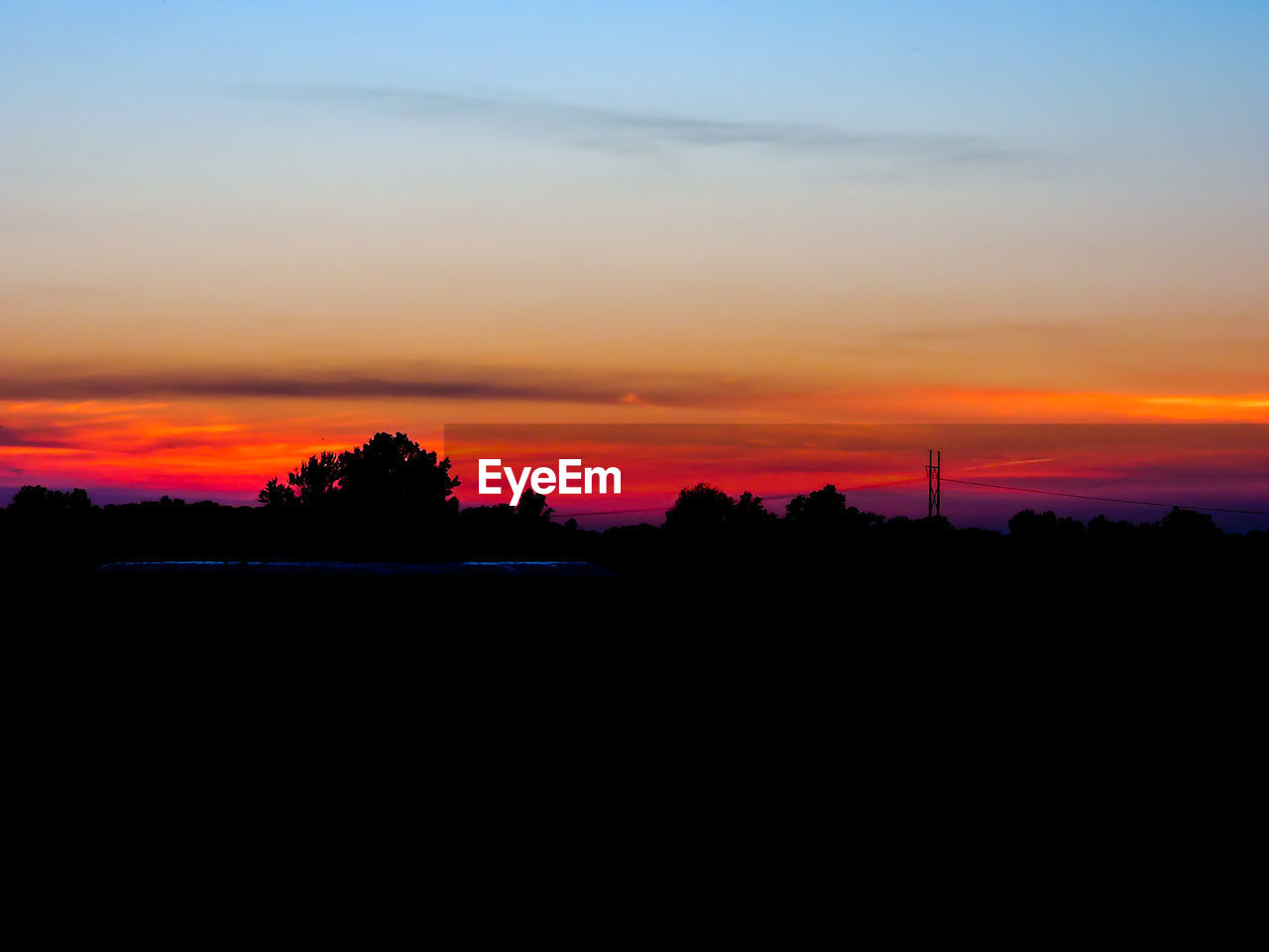 Silhouette of trees at sunset