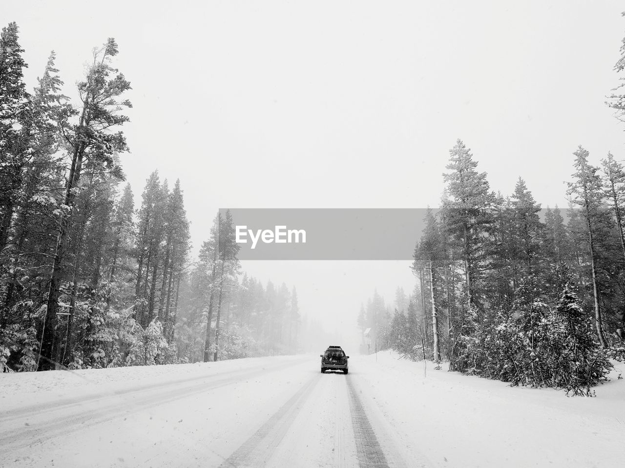 Car moving on snow covered road amidst trees during winter