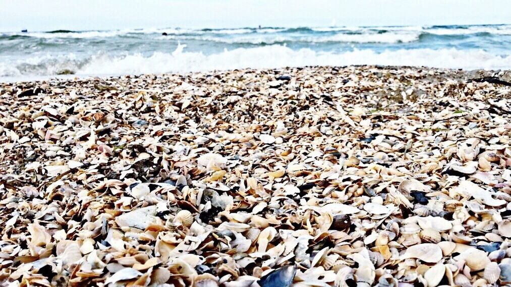 sea, beach, water, land, rock, nature, shore, pebble, horizon over water, sand, beauty in nature, scenics - nature, wave, coast, stone, day, sky, motion, horizon, no people, tranquility, tranquil scene, outdoors, abundance, coastline, travel destinations