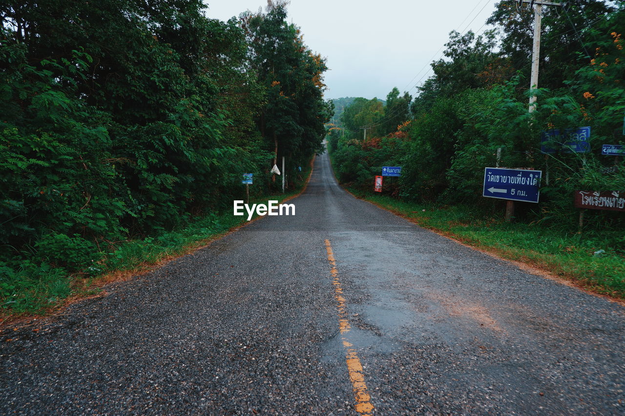 Empty road amidst trees in city against sky