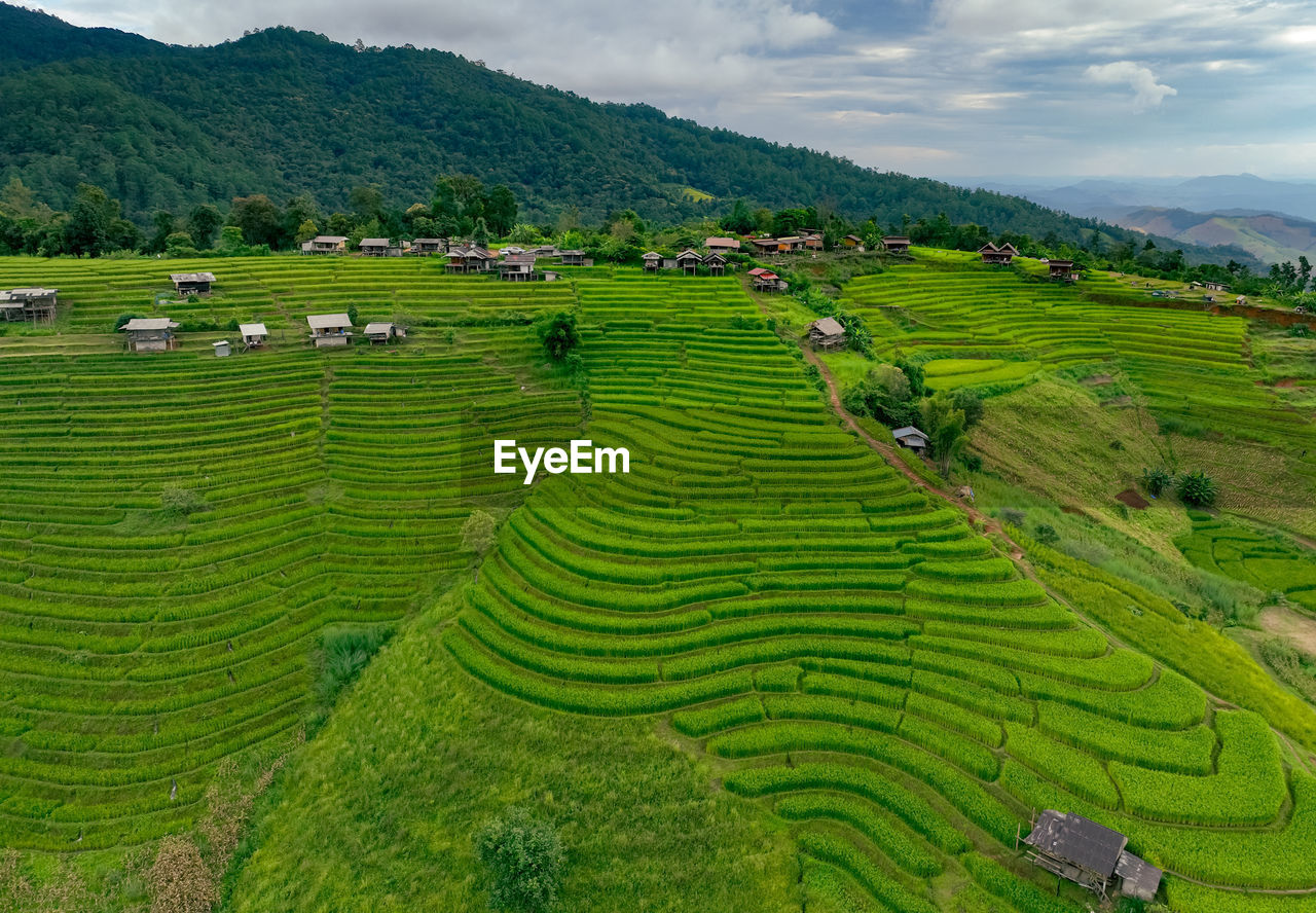 Landscape of green rice terraces amidst mountain agriculture. travel destinations in chiangmai