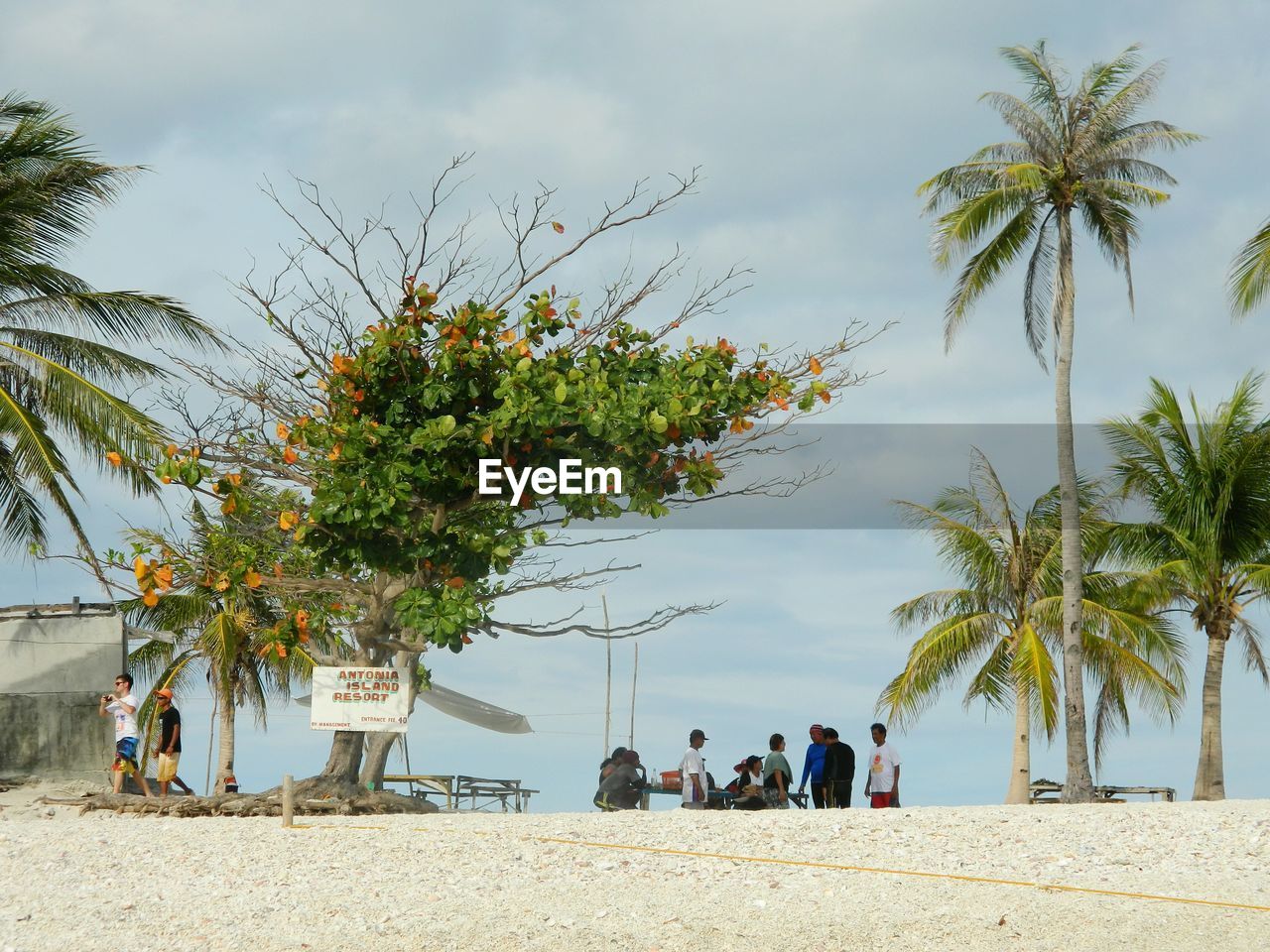 PEOPLE ON BEACH BY PALM TREES AGAINST SKY