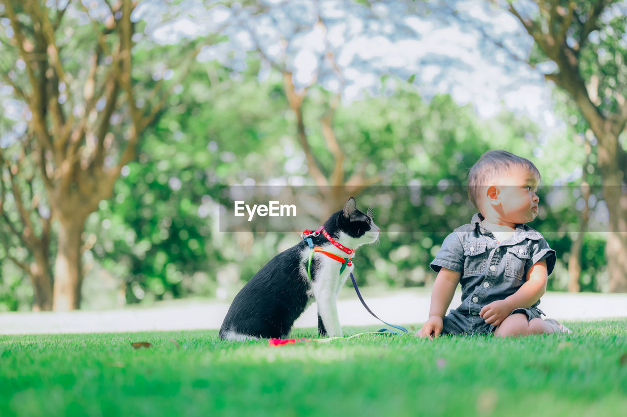 Full length of boy with cat at park