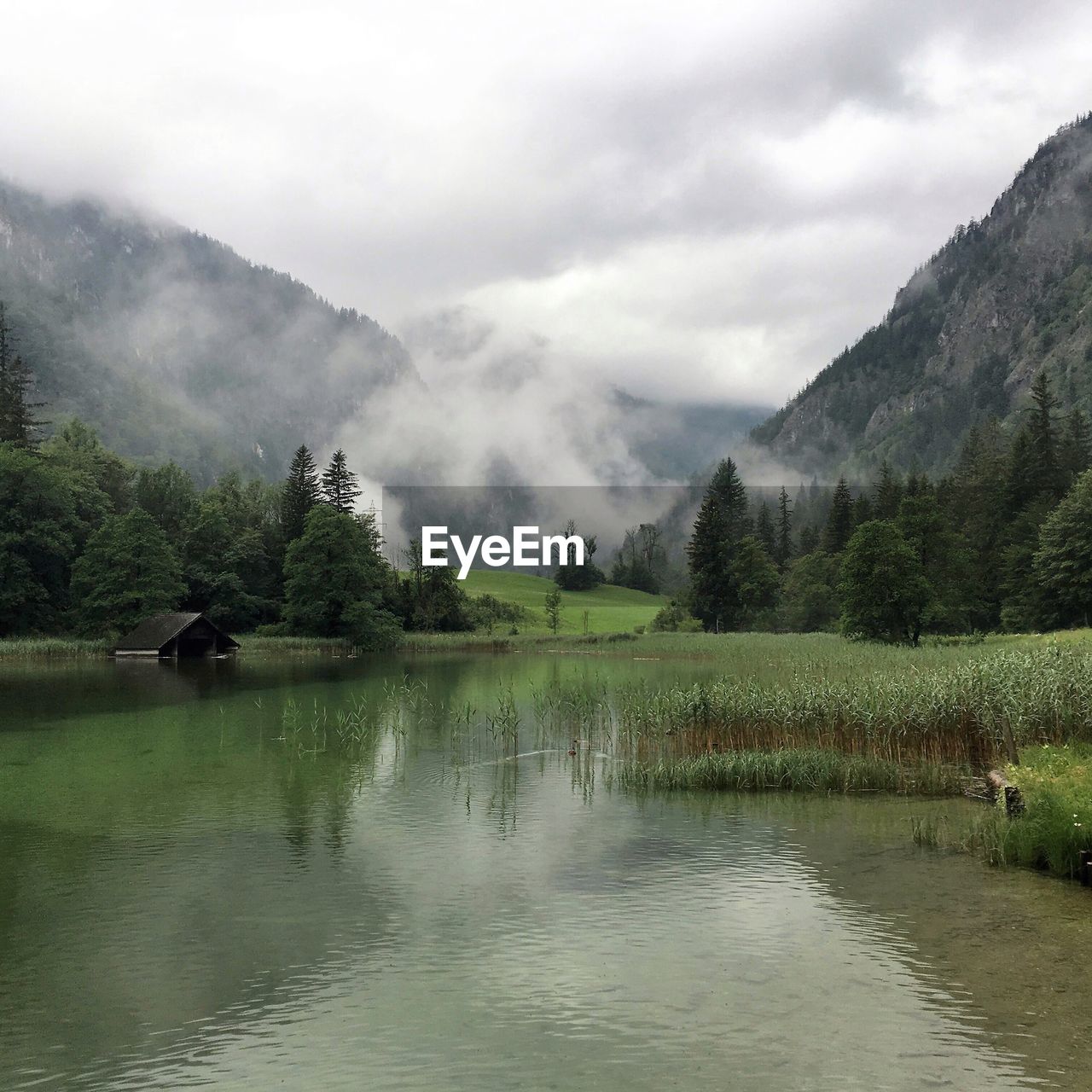 View of calm lake against trees