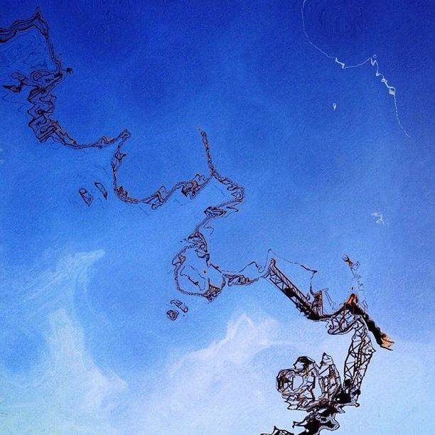 LOW ANGLE VIEW OF BARE TREES AGAINST SKY