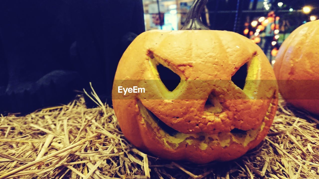 CLOSE-UP OF A PUMPKIN ON THE GROUND