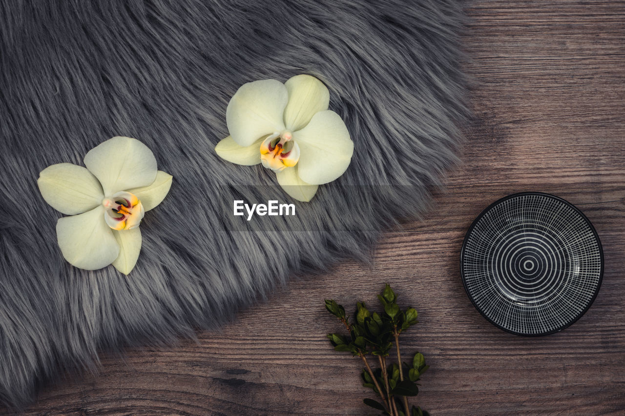 Orchids on a wooden board with little tea plates