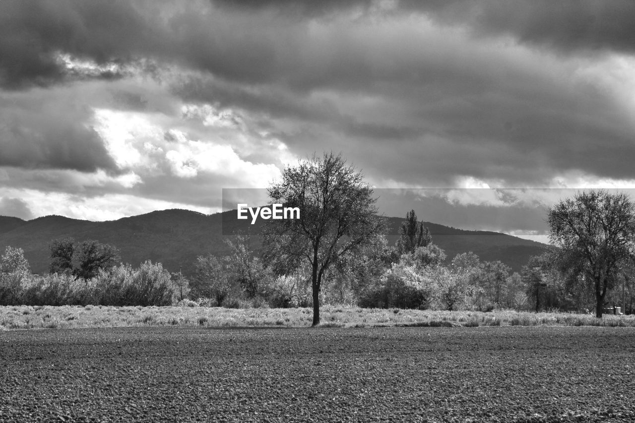 SCENIC VIEW OF LAND AGAINST SKY