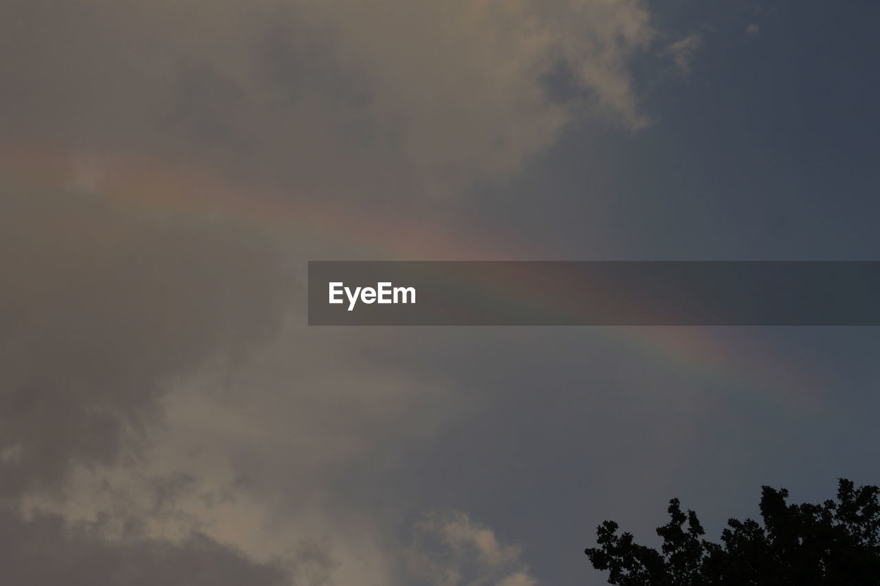 LOW ANGLE VIEW OF RAINBOW OVER TREES AGAINST SKY