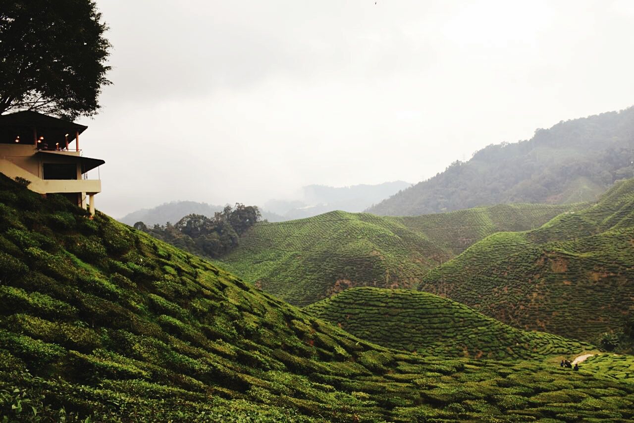 Scenic view of landscape