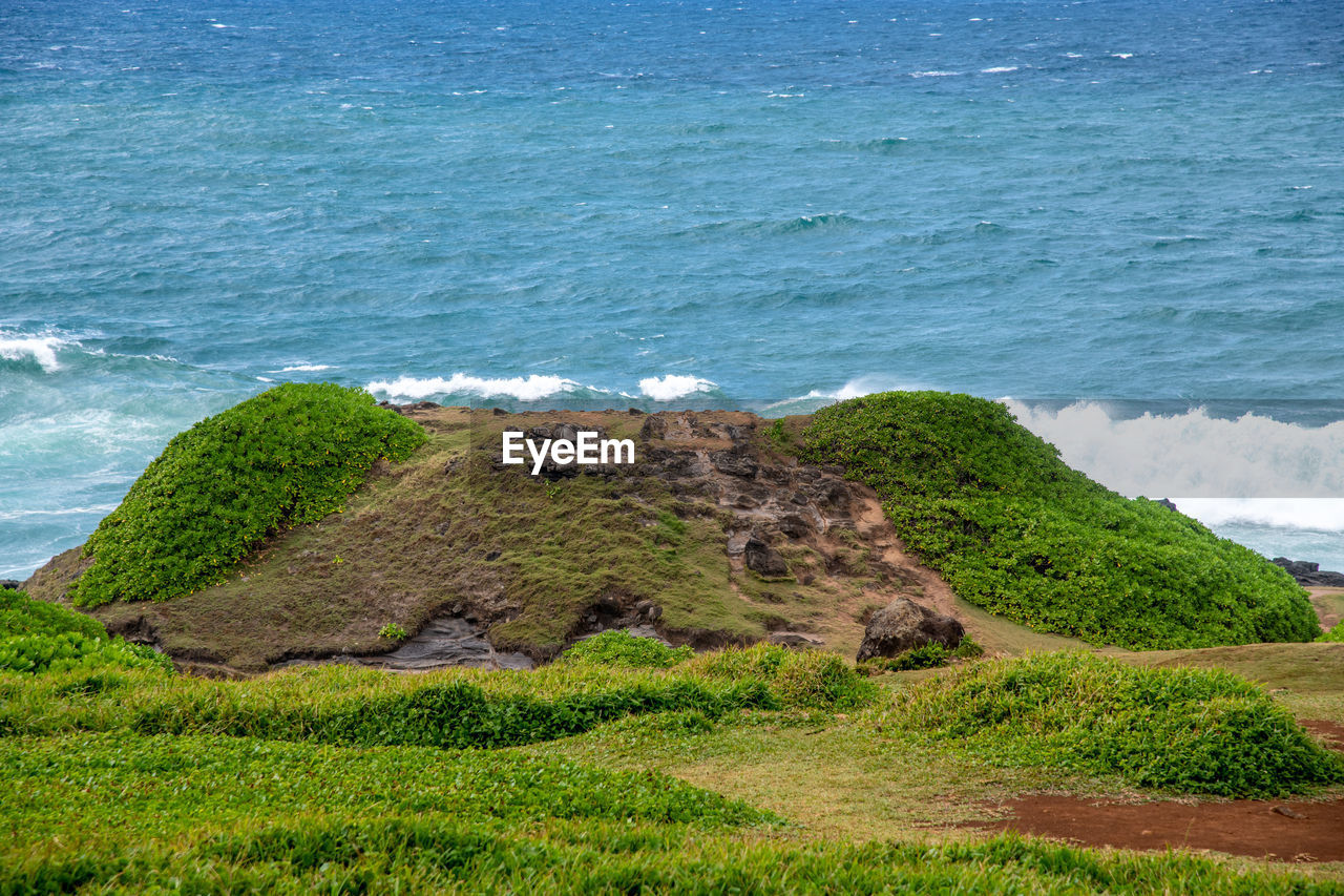 Scenic view of rocky beach