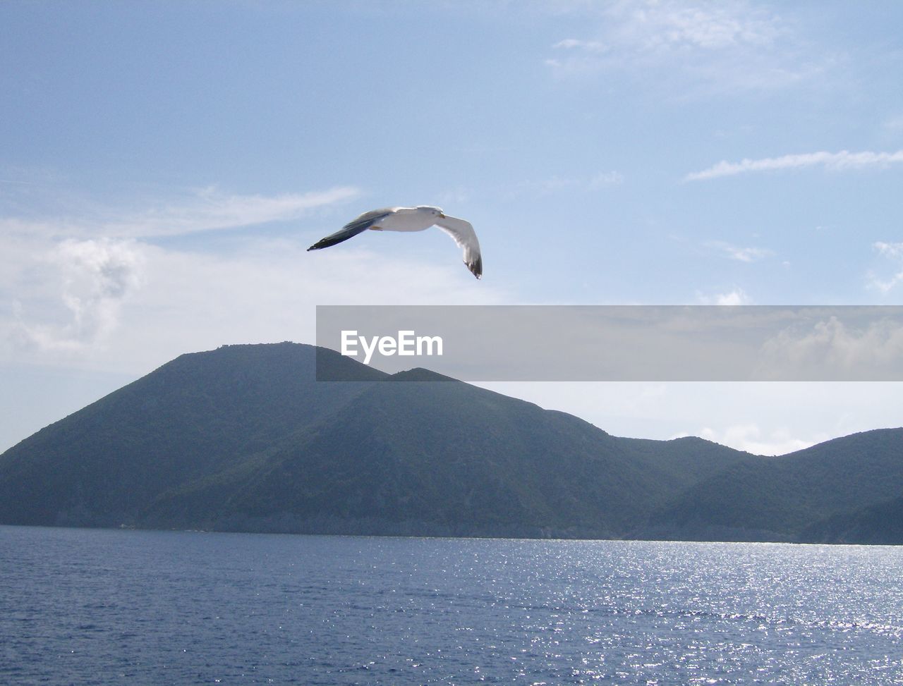 SEAGULL FLYING OVER SEA AGAINST MOUNTAIN